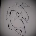 dolphin tattoo sketch №800 - an exclusive version of the picture that can be easily used for alteration and applying as a dolphin and sun tattoo