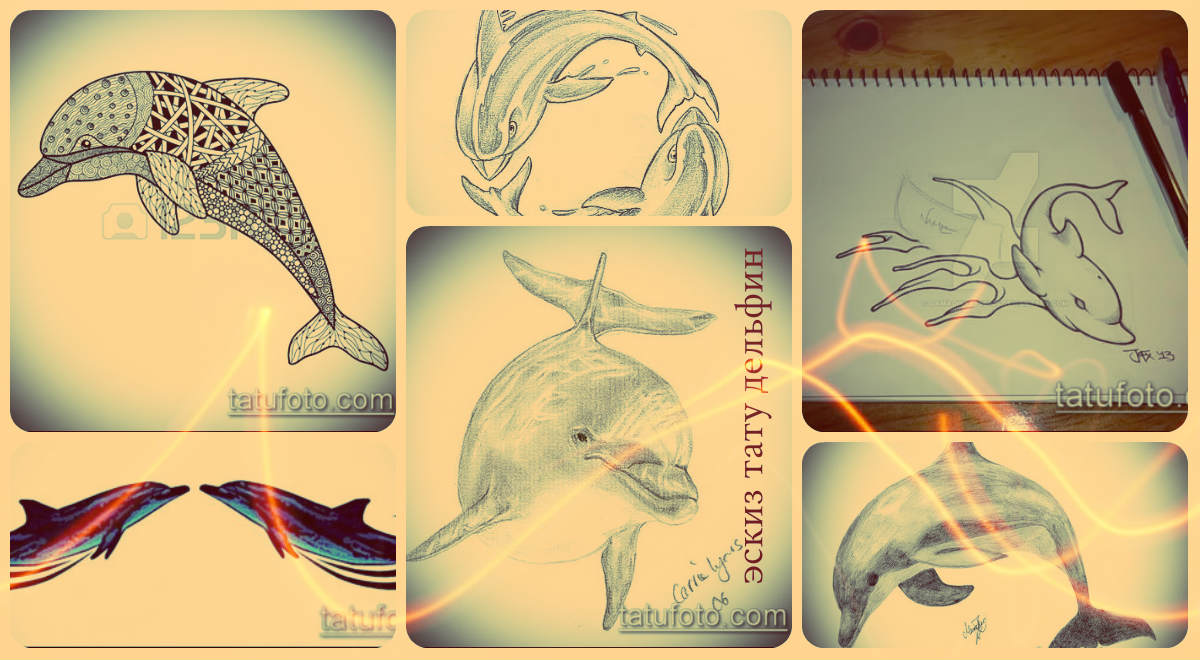 Dolphin tattoo designs - cool drawings for a unique tattoo