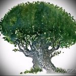 A fa tetoválás vázlata # 624 a minta klassz változata, amely sikeresen használható a holló és a fa tetoválás feldolgozására és alkalmazására