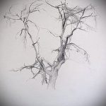 fa tetoválási vázlat # 172 - a minta egyedi változata, amely sikeresen használható egy faág átalakítására és tetoválásként történő alkalmazására