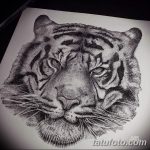 fotó vázlatok tetoválás dotwork kelt 2017.10.10 №153 - vázlatok tetoválás dotwork -