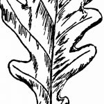 Fényképvázlat a tölgyfa tetoválásról 2018.09.11. №049 - vázlat a tölgyfa tetoválásról