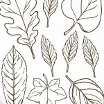 Fényképvázlat a tölgyfa tetoválásról 2018.09.11.