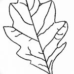 Fényképvázlat a tölgyfa tetoválásról 2018.09.11.