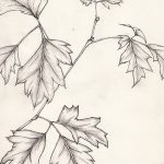 Fényképvázlat a tölgyfa tetoválásról 2018.09.11.