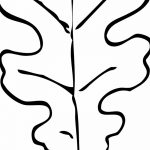 Fotó vázlat a tölgyfa tetoválásról 2018.09.11.