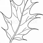 Fényképvázlat a tölgyfa tetoválásról 2018.09.11.