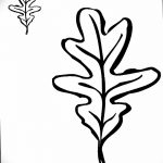 Fotó vázlat a tölgyfa tetoválásról 2018.09.11. №016 - vázlat a tölgyfa tetoválásról -