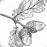 Fényképvázlat a tölgyfa tetoválásról