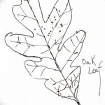 Fotó vázlat a tölgyfa tetoválásról 2018.09.11. №027 - vázlat a tölgyfa tetoválásról -