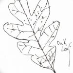 Fotó vázlat a tölgyfa tetoválásról 2018.09.11.