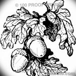 Fotó vázlat a tölgyfa tetoválásról 2018.09.11. №039 - vázlat a tölgyfa tetoválásról -