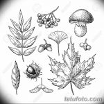 Őszi vektor készlet levelek, bogyók, gesztenye, dió, gomba