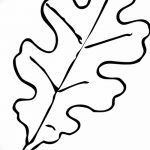 Fotó vázlat a tölgyfa tetoválásról 2018.09.11. №044 - vázlat a tölgyfa tetoválásról