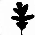 Tetovált tölgyfalevél fotóvázlata 2018.09.11 -től №050 - tetovált tölgyfalevél vázlata -