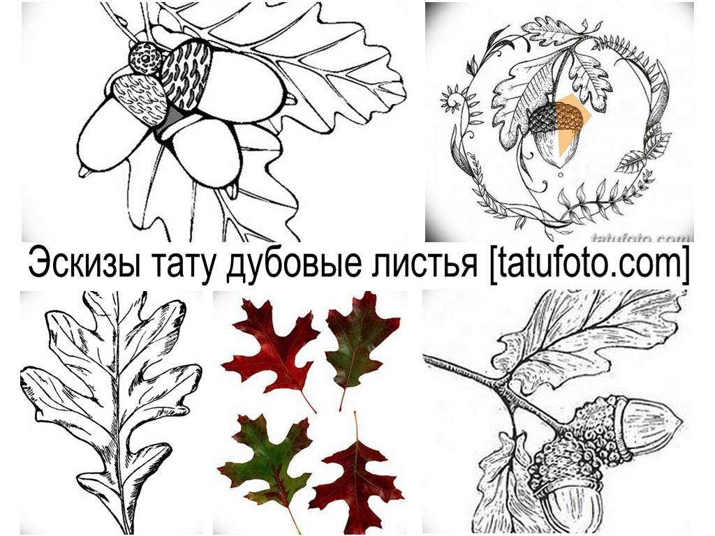 Vázlatok tölgyfalevél tetoválás - galéria eredeti tervek tetoválás