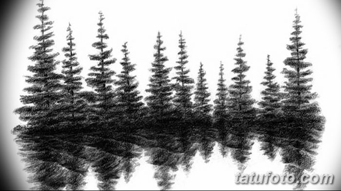 снимка Скици на татуировка смърч от 23.04.2018 №154 - Скици на татуировка смърч - 346345345 345345