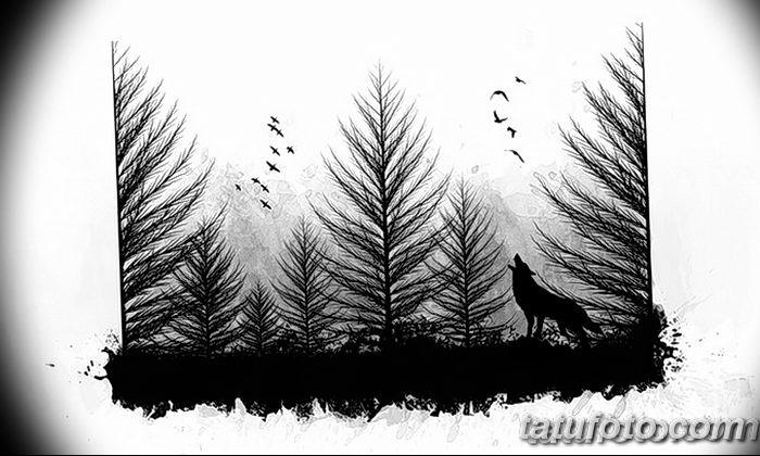 снимка Скици на татуировка смърч от 23.04.2018 №170 - Скици на татуировка смърч -