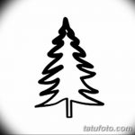 снимка Скици на татуировка смърч от 23.04.2018 №139 - Скици на татуировка смърч -