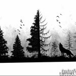 снимка Скици на татуировка смърч от 23.04.2018 №140 - Скици на татуировка смърч -