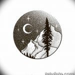 снимка Скици на татуировка смърч от 23.04.2018 №141 - Скици на татуировка смърч -