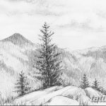 снимка Скици на татуировка смърч от 23.04.2018 №142 - Скици на татуировка смърч -