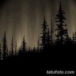 снимка Скици на татуировка смърч от 23.04.2018 №143 - Скици на татуировка смърч -