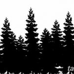 снимка Скици на татуировка смърч от 23.04.2018 №152 - Скици на татуировка смърч -