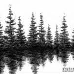 снимка Скици на татуировка смърч от 23.04.2018 №154 - Скици на татуировка смърч - 346345345
