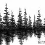 снимка Скици на татуировка смърч от 23.04.2018 №154 - Скици на татуировка смърч - 346345345 345345