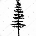 снимка Скици на татуировка смърч от 23.04.2018 №162 - Скици на татуировка смърч -