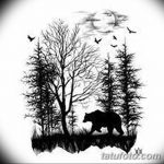 снимка Скици на татуировка смърч от 23.04.2018 №003 - Скици на татуировка смърч -