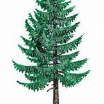 снимка Скици на татуировка смърч от 23.04.2018 №004 - Скици на татуировка смърч -