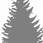 снимка Скици на татуировка смърч от 23.04.2018 №014 - Скици на татуировка смърч -