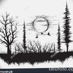 снимка Скици на татуировка смърч от 23.04.2018 №015 - Скици на татуировка смърч -