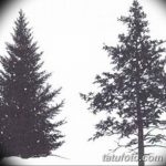 снимка Скици на татуировка смърч от 23.04.2018 №020 - Скици на татуировка смърч -