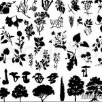 снимка Скици на татуировка смърч от 23.04.2018 №036 - Скици на татуировка смърч -