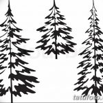 снимка Скици на татуировка смърч от 23.04.2018 №037 - Скици на татуировка смърч -