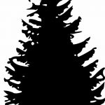 снимка Скици на татуировка смърч от 23.04.2018 №043 - Скици на татуировка смърч -