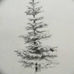 снимка Скици на татуировка смърч от 23.04.2018 №047 - Скици на татуировка смърч -