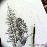 снимка Скици на татуировка смърч от 23.04.2018 №054 - Скици на татуировка смърч -