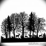 снимка Скици на татуировка смърч от 23.04.2018 №063 - Скици на татуировка смърч -