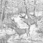 снимка Скици на татуировка смърч от 23.04.2018 №065 - Скици на татуировка смърч -