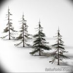 снимка Скици на татуировка смърч от 23.04.2018 №070 - Скици на татуировка смърч -