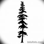 снимка Скици на татуировка смърч от 23.04.2018 №072 - Скици на татуировка смърч -