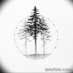 снимка Скици на татуировка смърч от 23.04.2018 №073 - Скици на татуировка смърч -