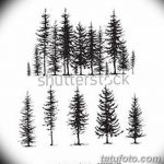 снимка Скици на татуировка смърч от 23.04.2018 №080 - Скици на татуировка смърч -