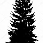 снимка Скици на татуировка смърч от 23.04.2018 №085 - Скици на татуировка смърч -