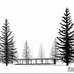 снимка Скици на татуировка смърч от 23.04.2018 №089 - Скици на татуировка смърч -