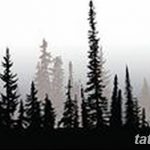 снимка Скици на татуировка смърч от 23.04.2018 №092 - Скици на татуировка смърч -